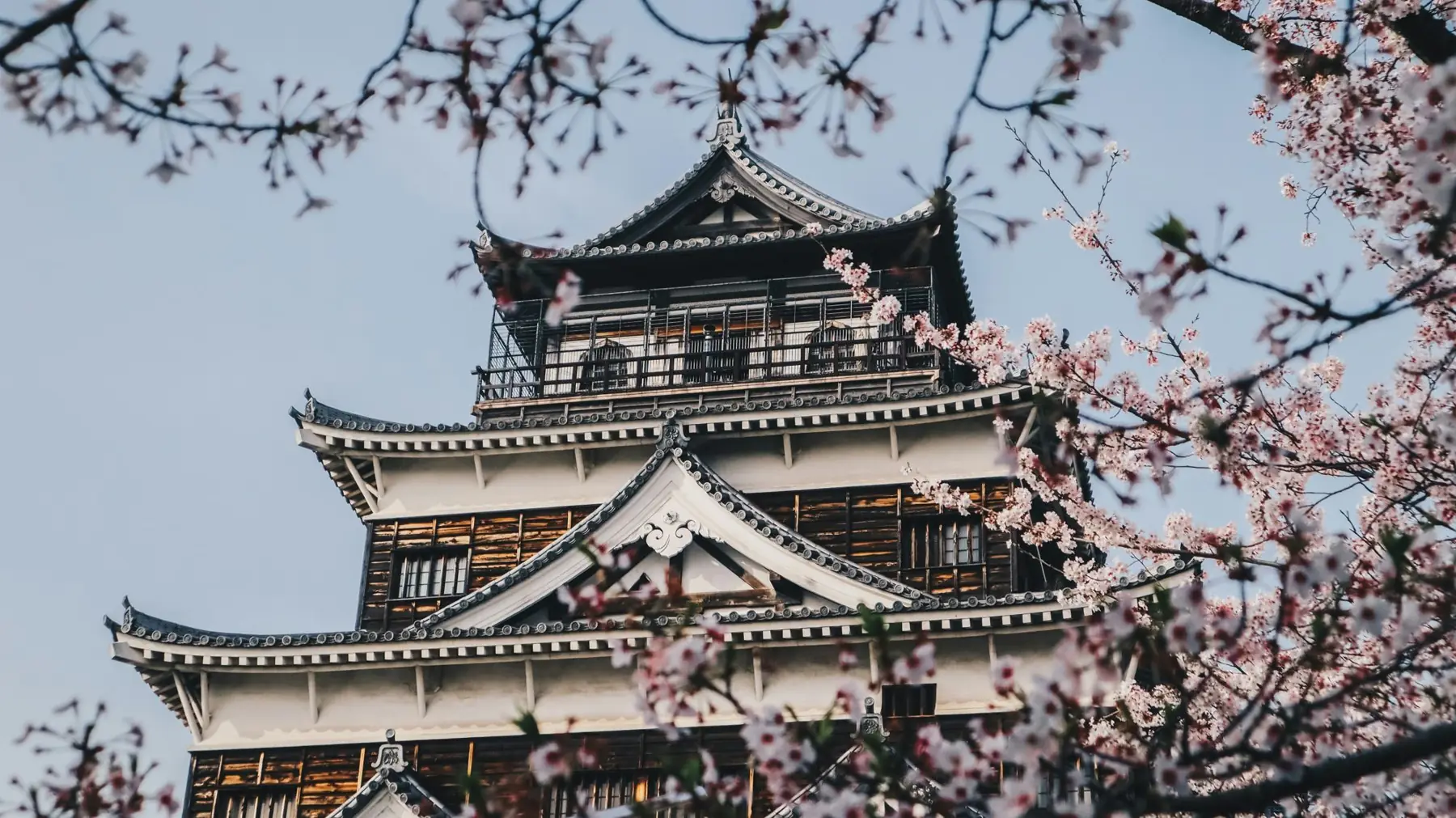 Japanese castle framed by cherry blossoms