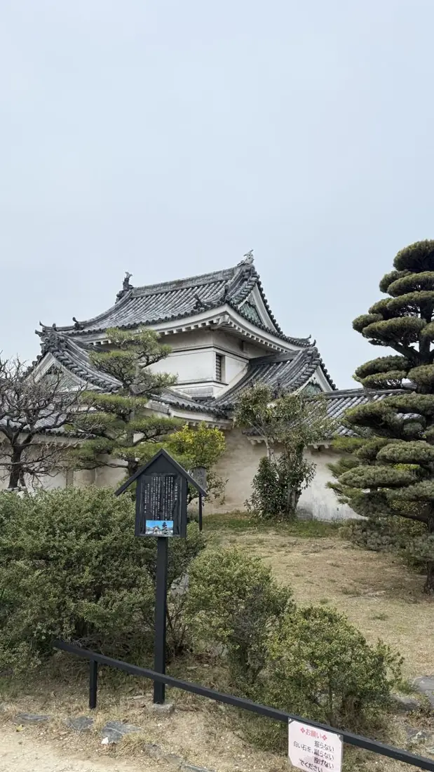 Japanese castle tower among pines