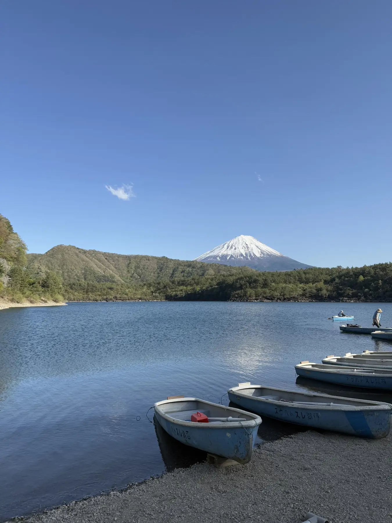 Mount Fuji seen across Lake Saiko