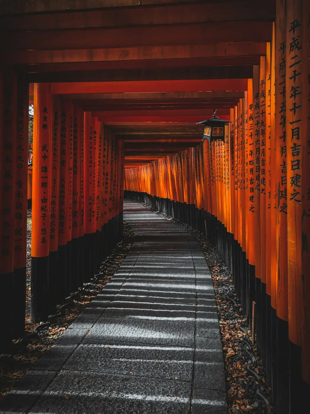 Torii gates at Fushimi Inari, Kyoto
